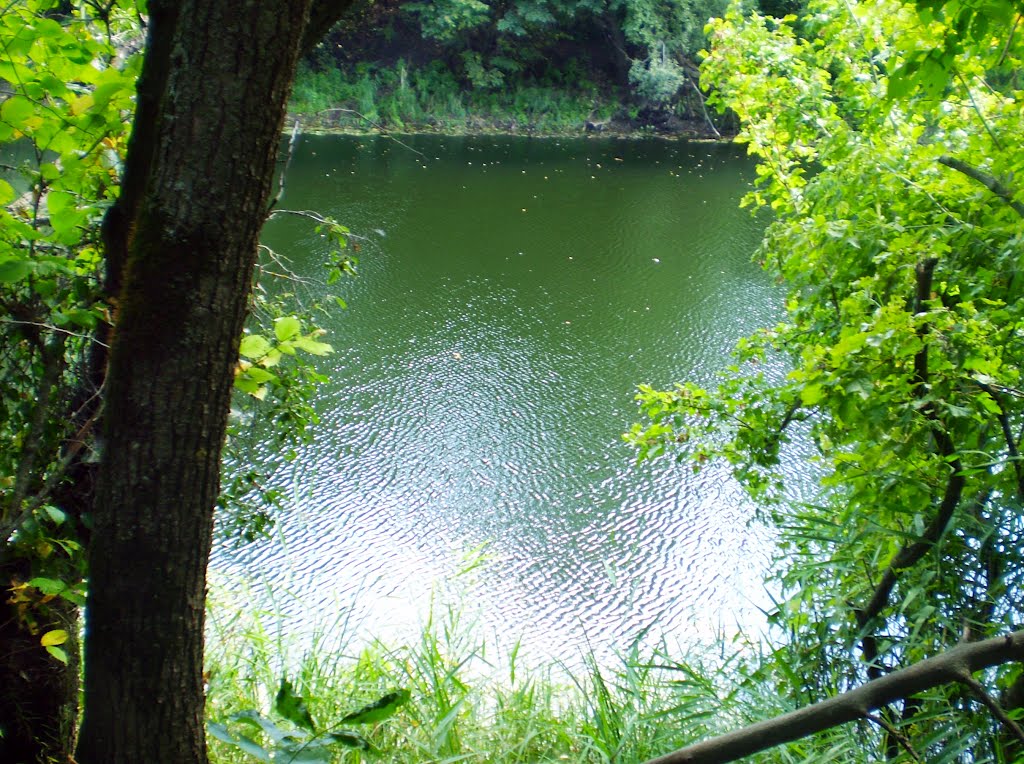 Река Терса. Вид из леса / The Tersa river. View from the forest