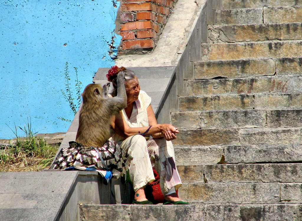FriendsДрузья