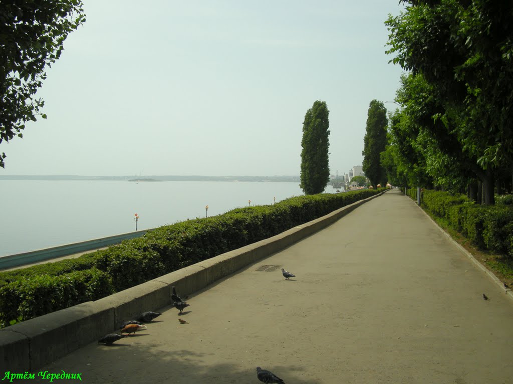 Volga river.