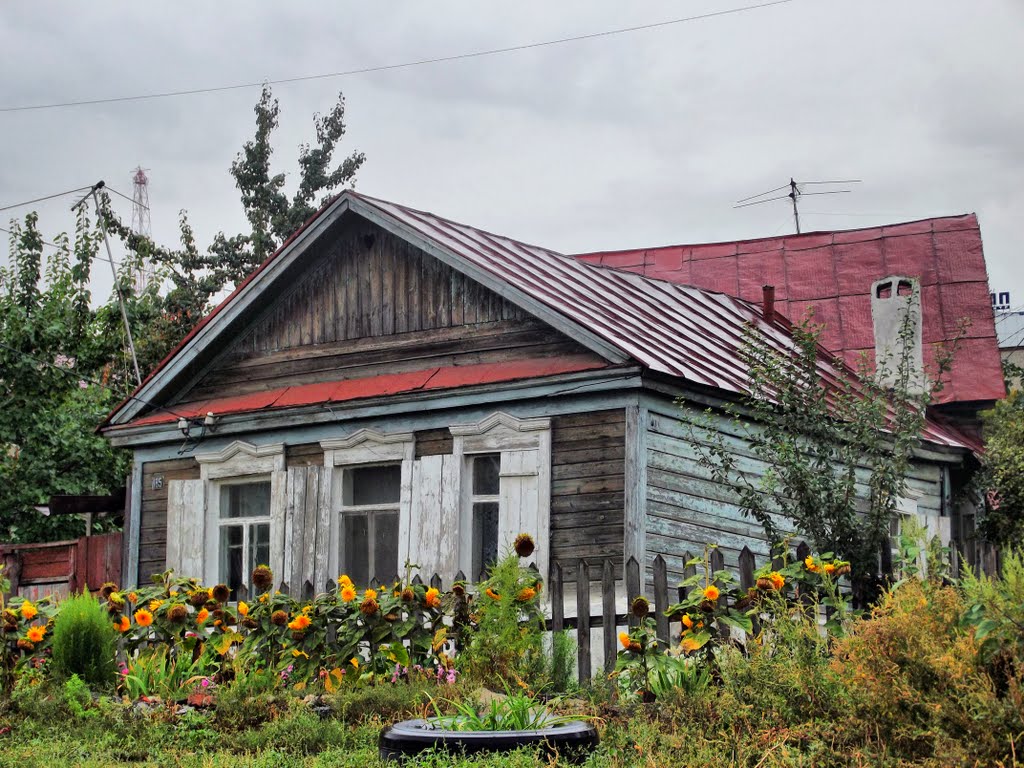 Country house in big city