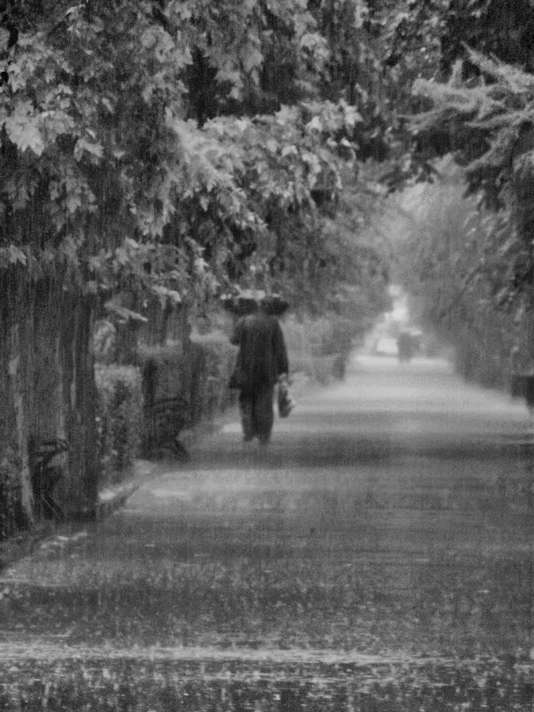 Rain man