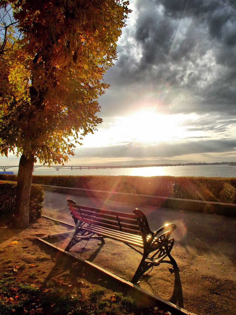 Silent viewer of sunrise