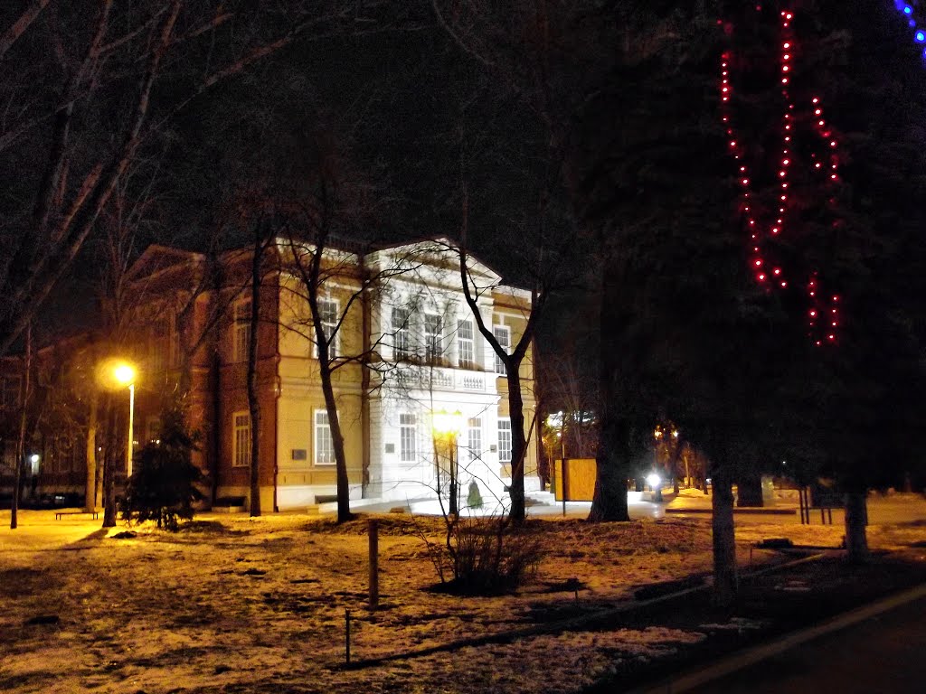 Night Saratov, Radishev museum