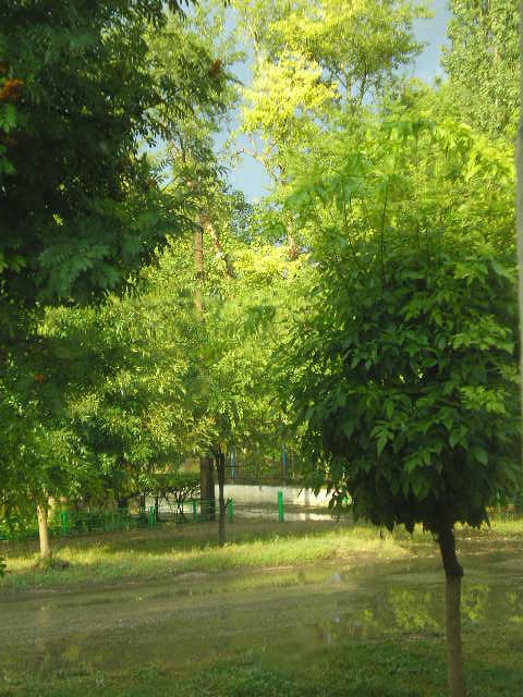Красота родного края