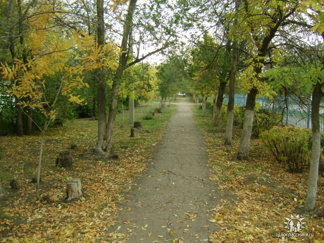 Парк осенью
