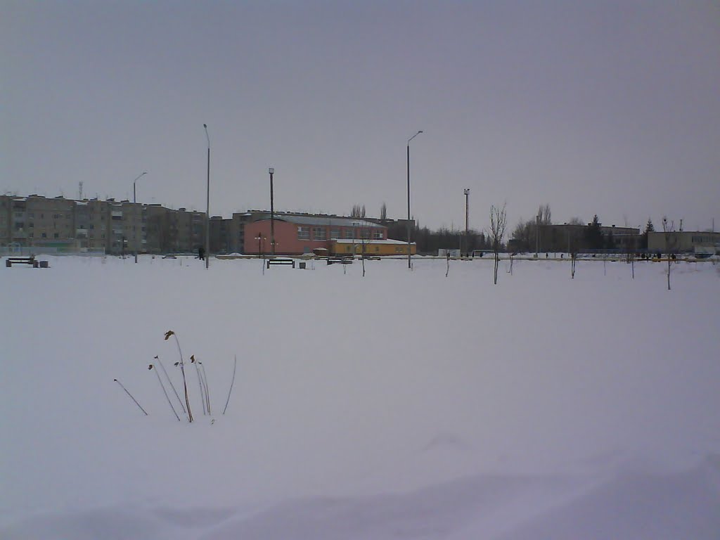 п. Степное