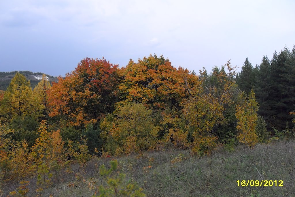 Хвалынская осень