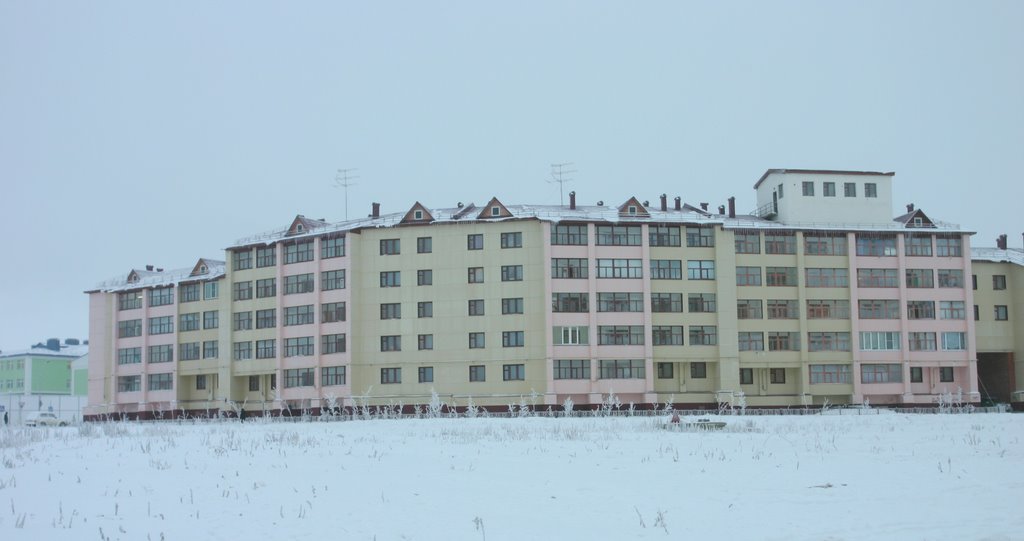 Arckticheskaya street