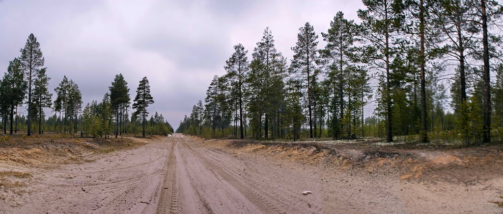 Рядом с домом. Сибирские направления. Siberian taiga.