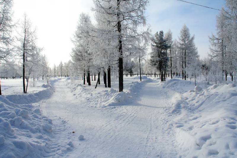 Иней (городской парк).