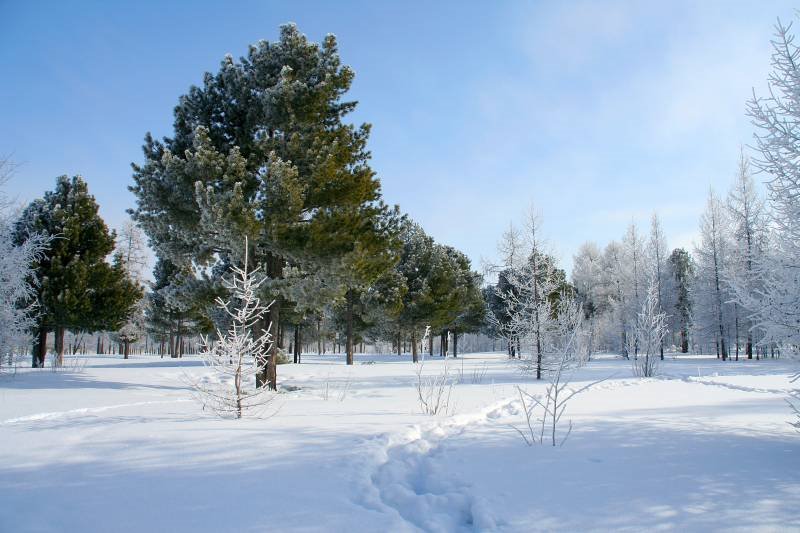 Городской парк