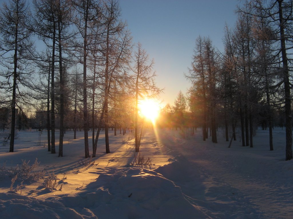 Парк 2006