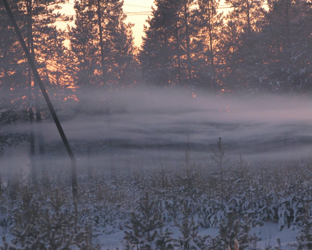 ► Эх туманы...  *