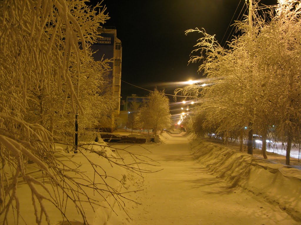 ►  По ночному городу.    *