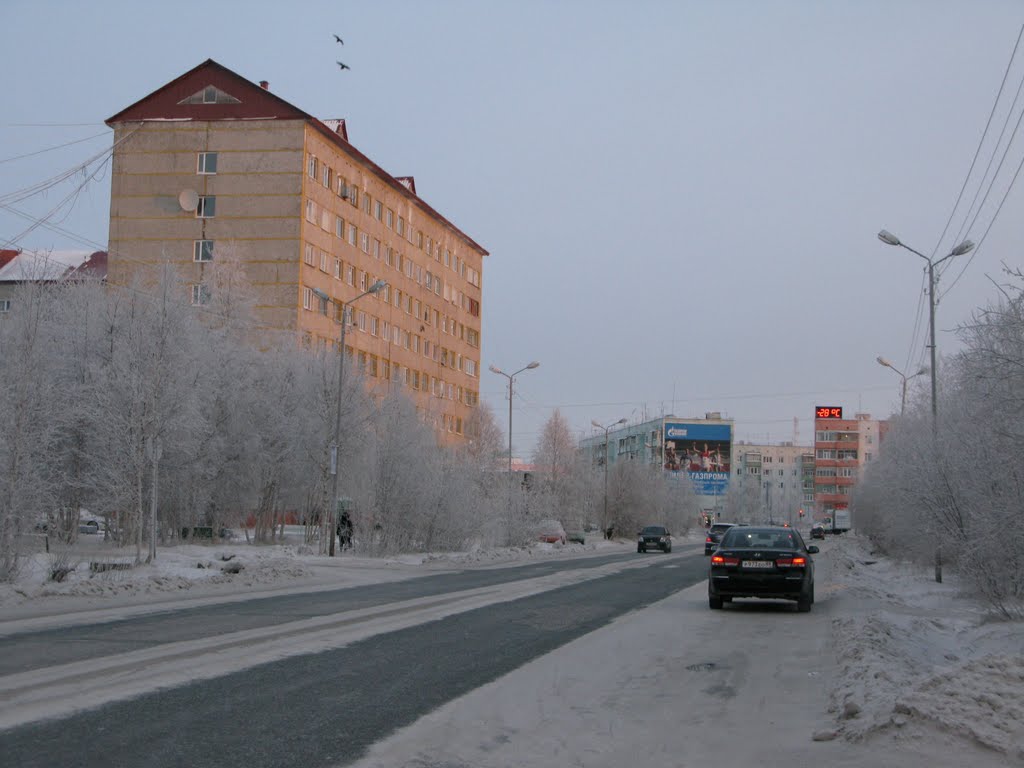 ► Вороны над Общежитием.    *