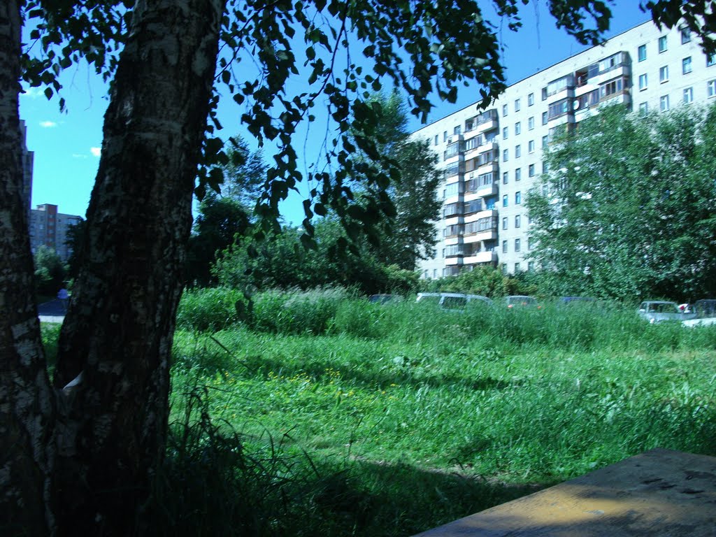 Новоуральск, В одном из дворов (ул. Победы)
