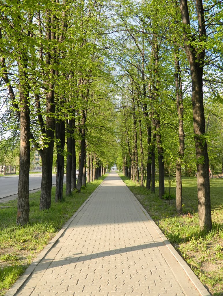 В парке ОАО УЭХК, май 2011г.