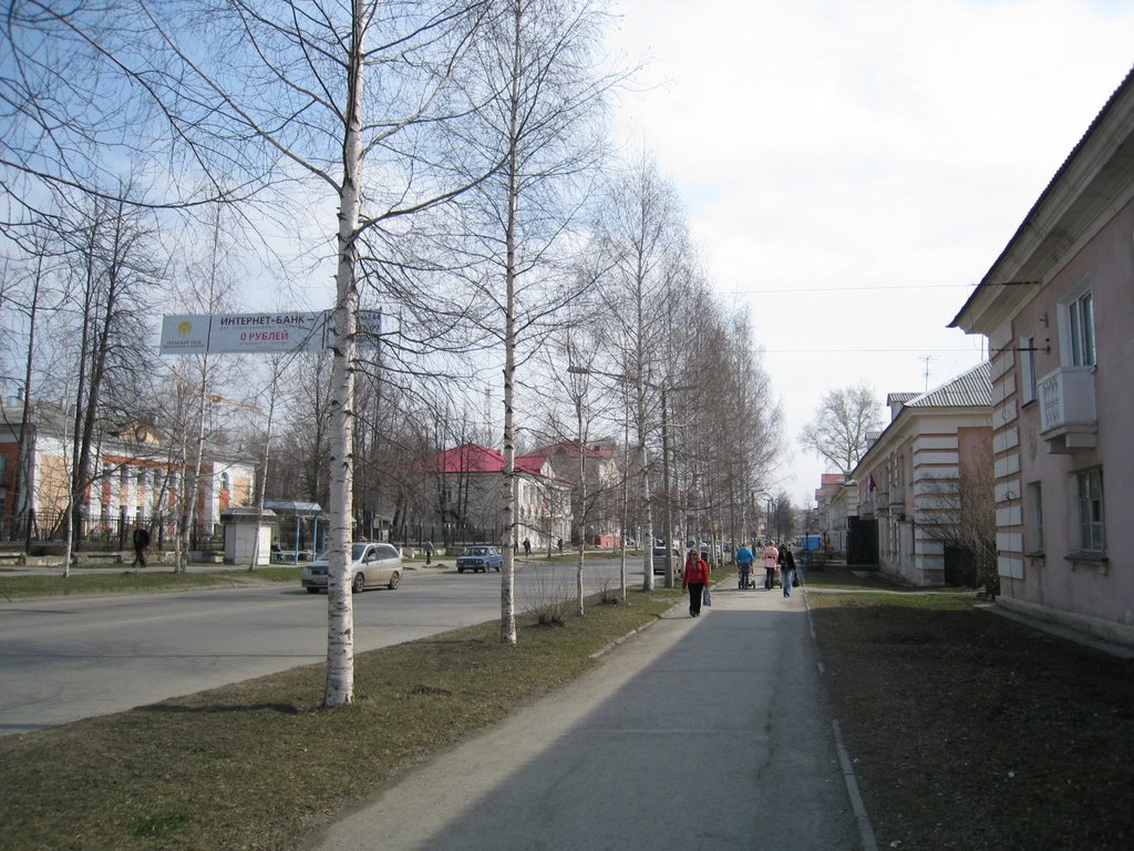 Вид на исторический центр города (2009)