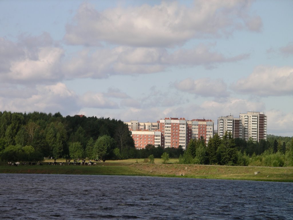 Вид с моста на новый район (2007)