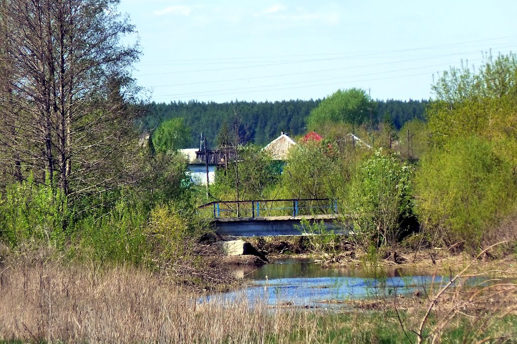 Алтынай. Мост через реку Ирбит.