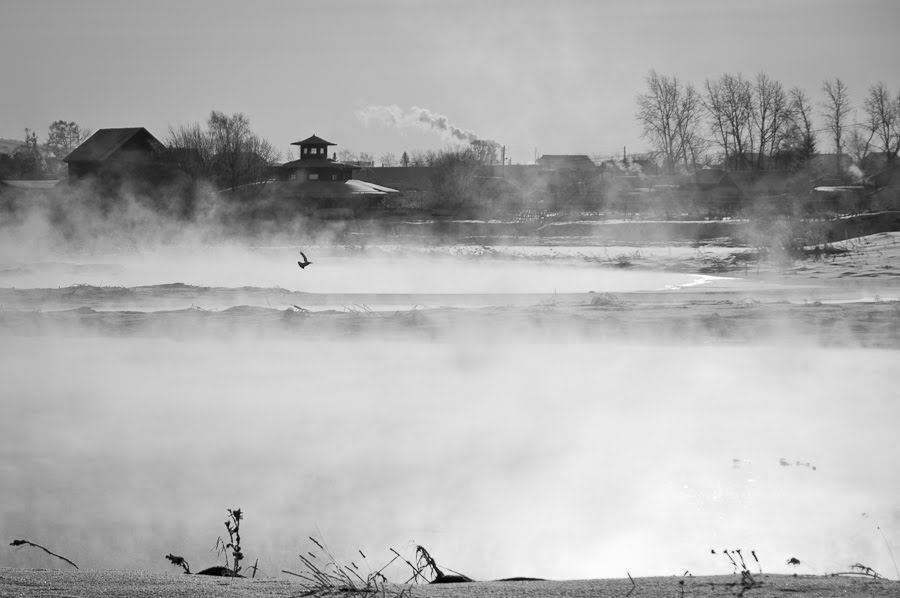 Арамиль