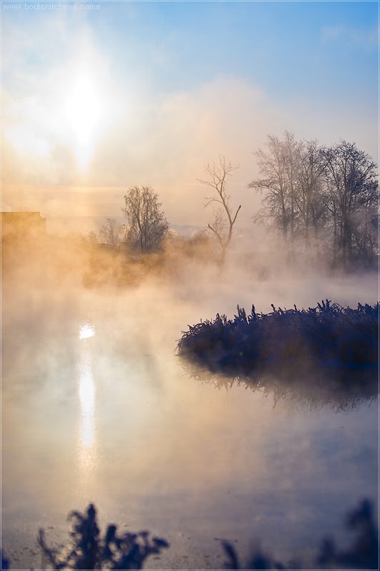 winter sun
