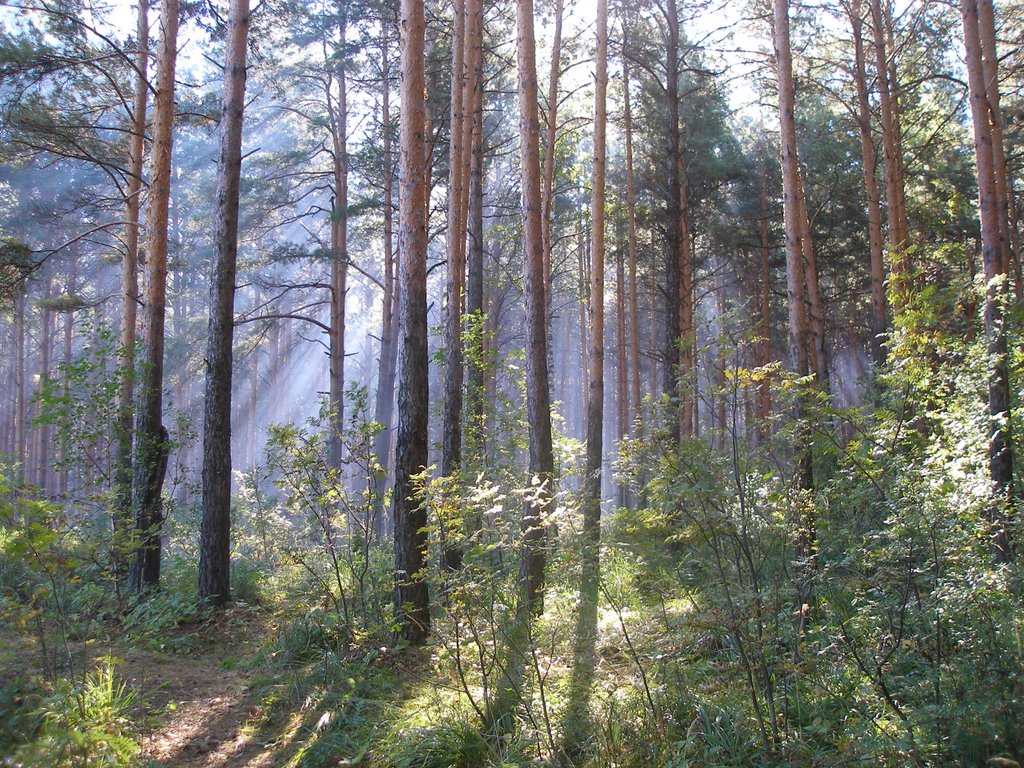 у карьера