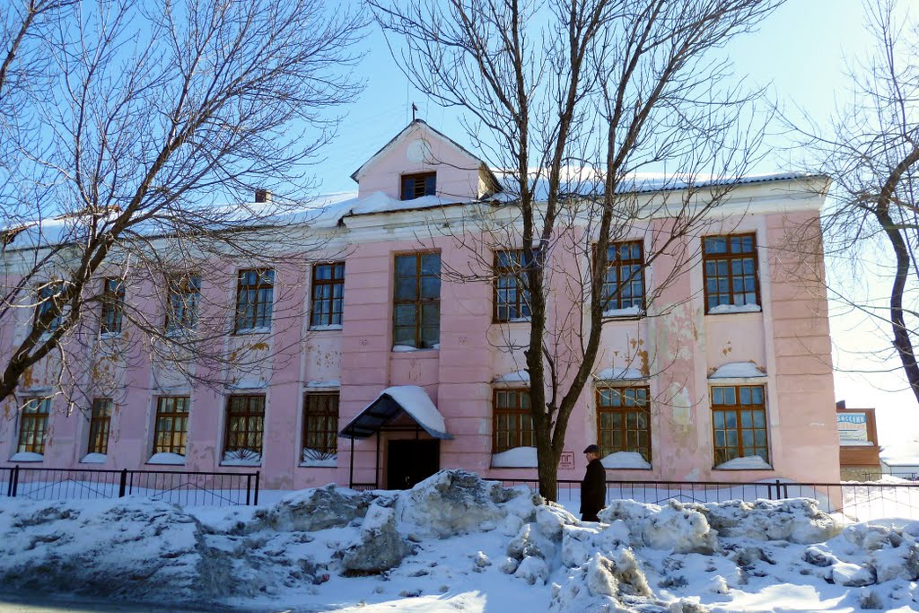 Артёмовский. Розовый дом.