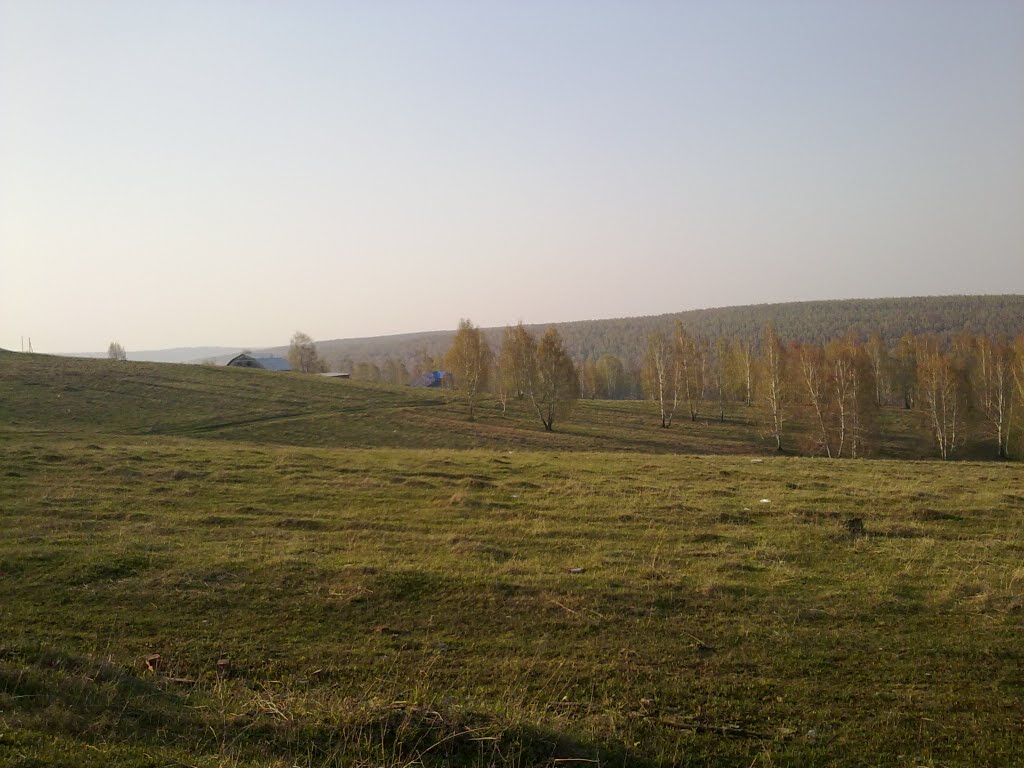 лес
