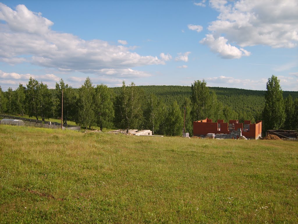 Березовая роща