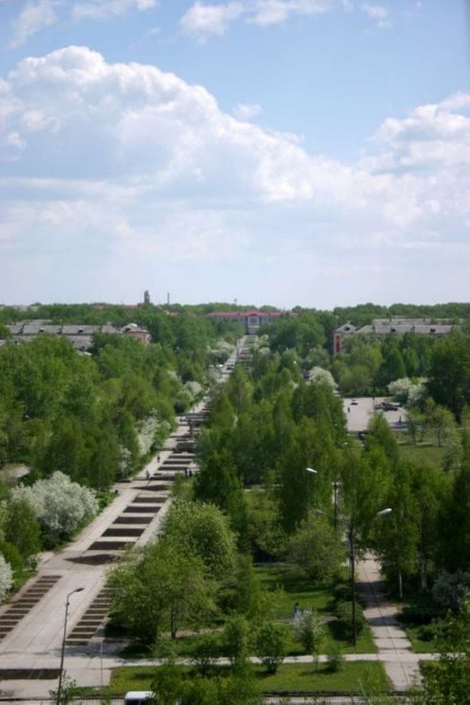 ул. Победы вид с колеса