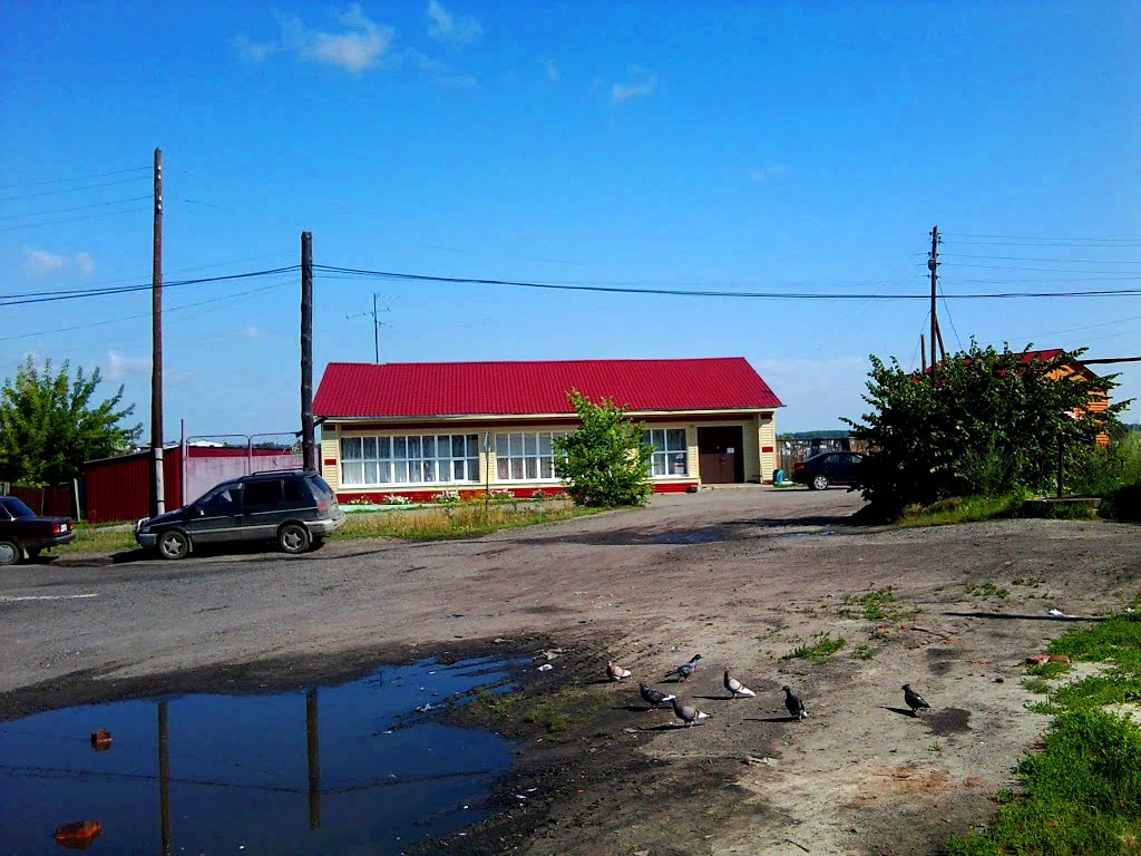 Магазин Хозяйственные товары