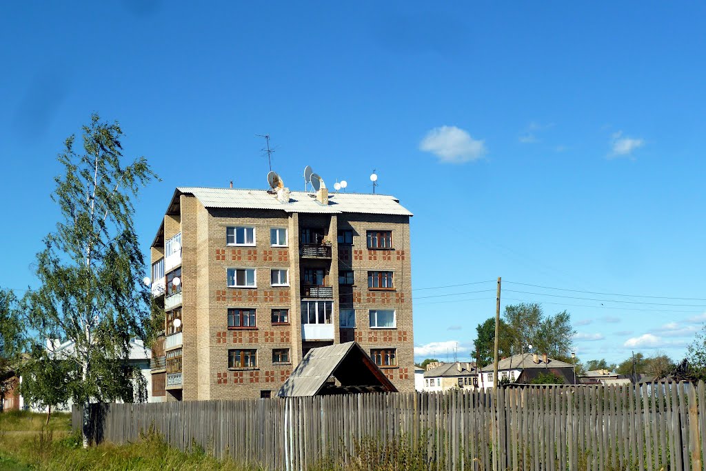Басьяновский. Скворечник.