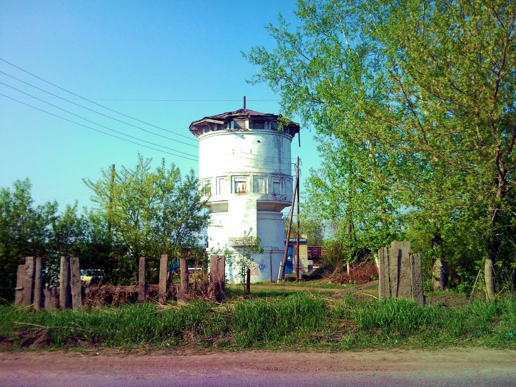 Sovkhoznyy