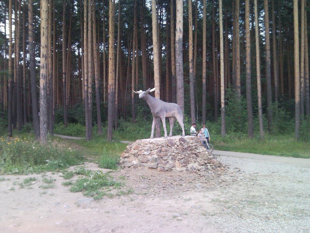 Берёзовский. Лось. Тропа здоровья.