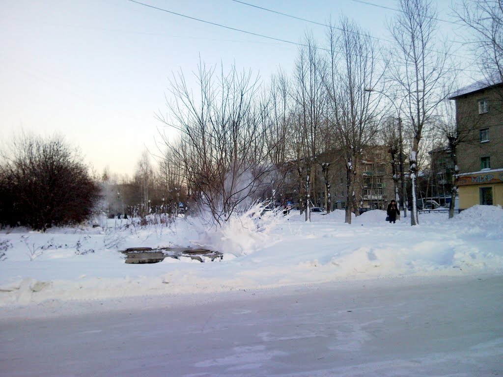 Берёзовский. Кустик в инее.