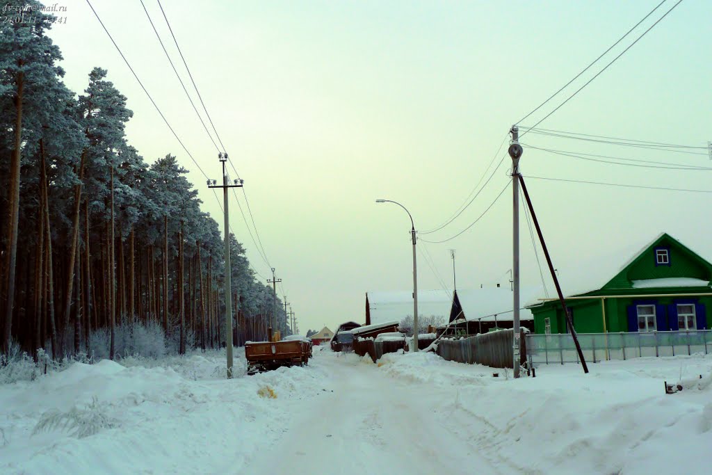 Берёзовский. Окраина Лесозаводского.