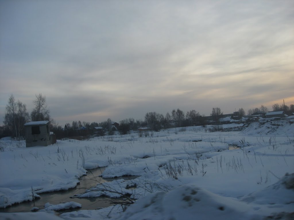 Безымянный приток речки Березовки