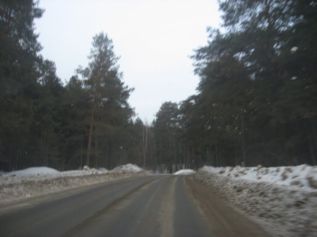 В лес