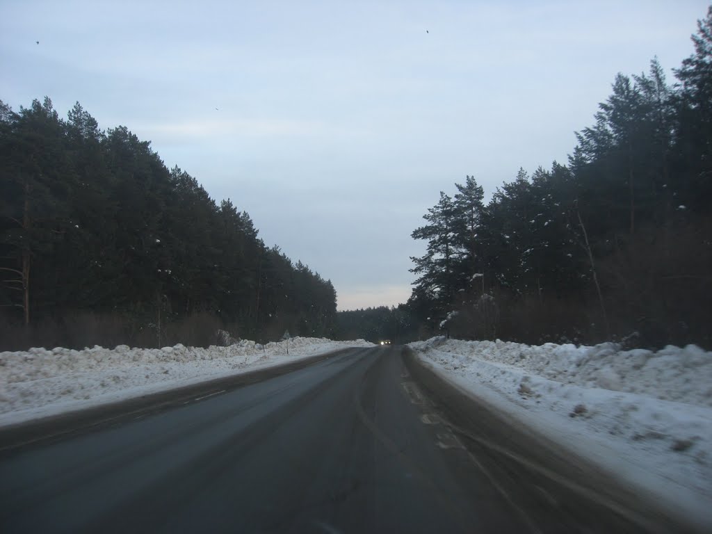 Дорога на Старопышминск