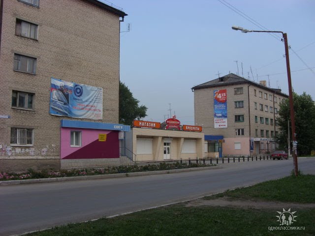 Продуктовый магазин "Дружба", ул.Партизанская, 21