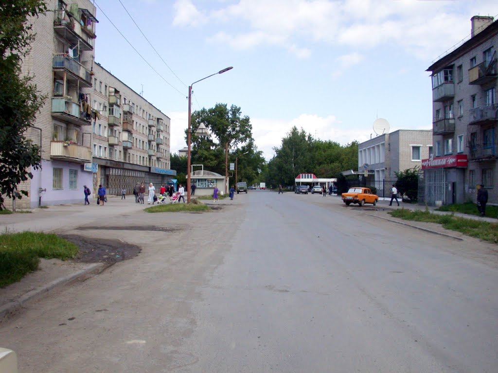 ул.Партизанская в р-не д.28. Северное направление. 2004г.