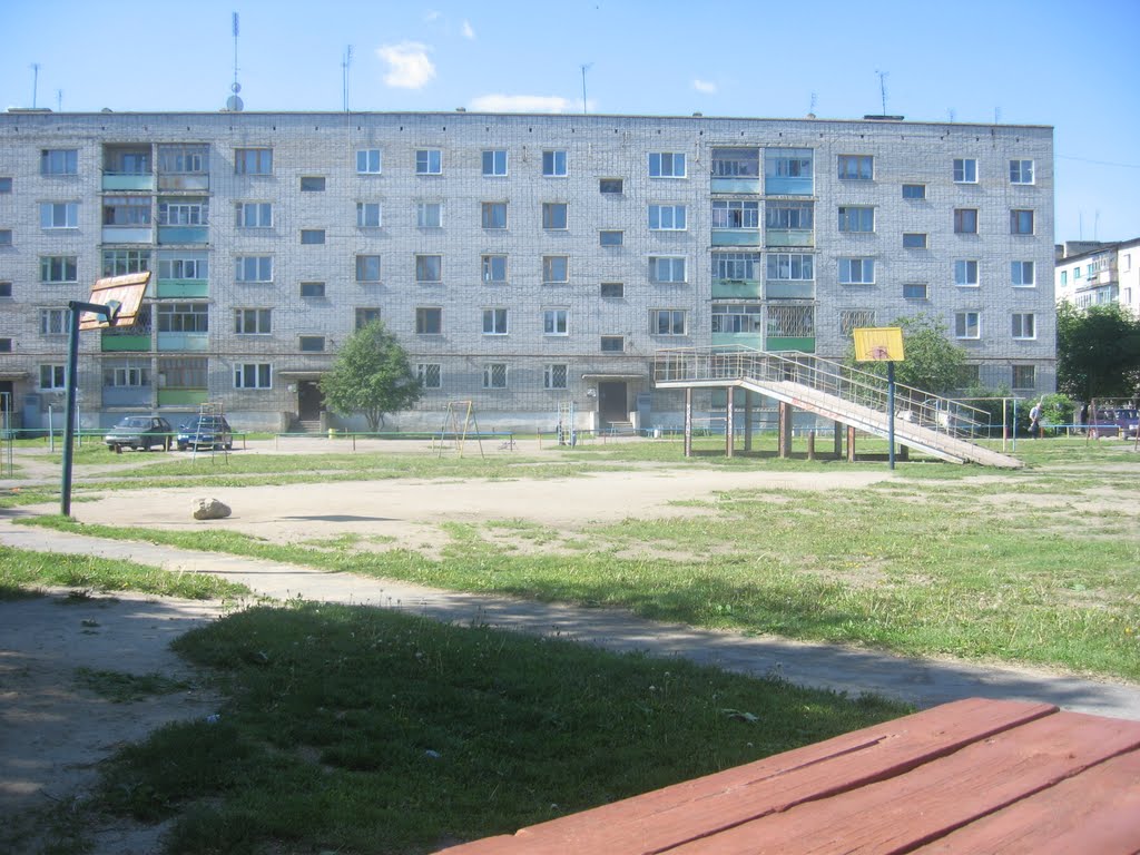 Двор дома 28 на ул. Партизанской