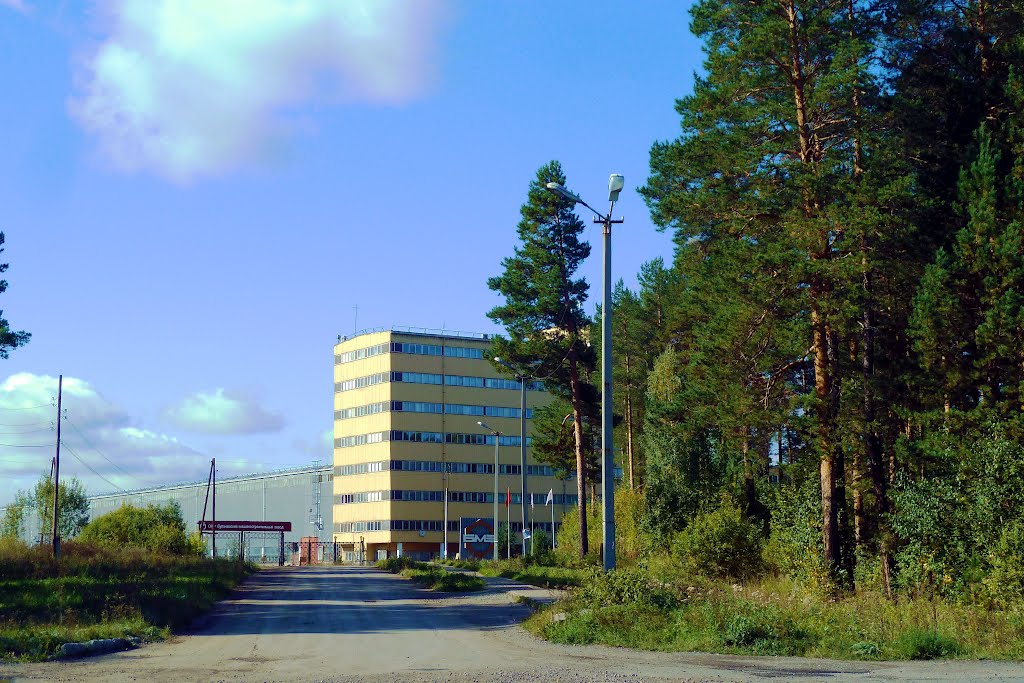 Буланаш. БМЗ.