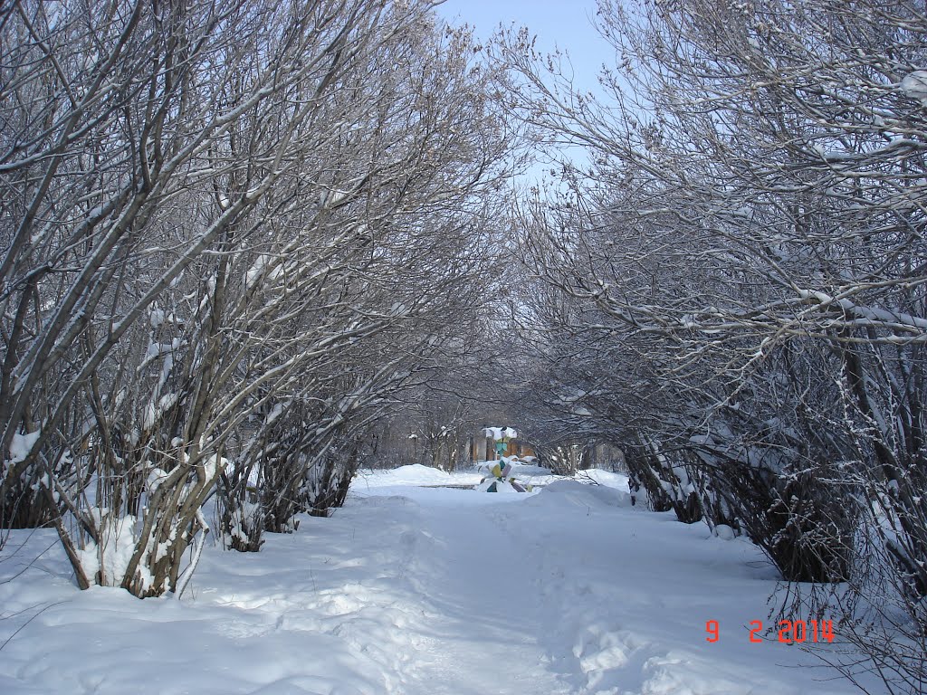 Арка
