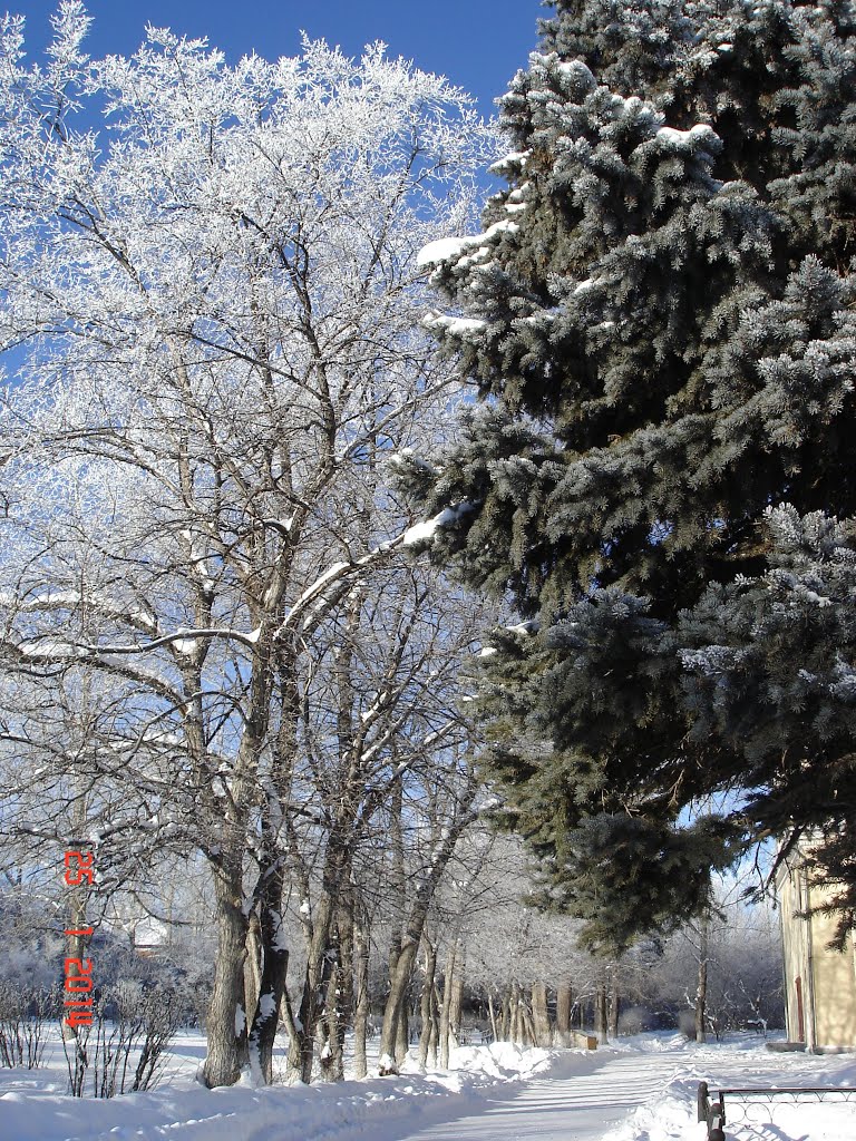 Как в сказке