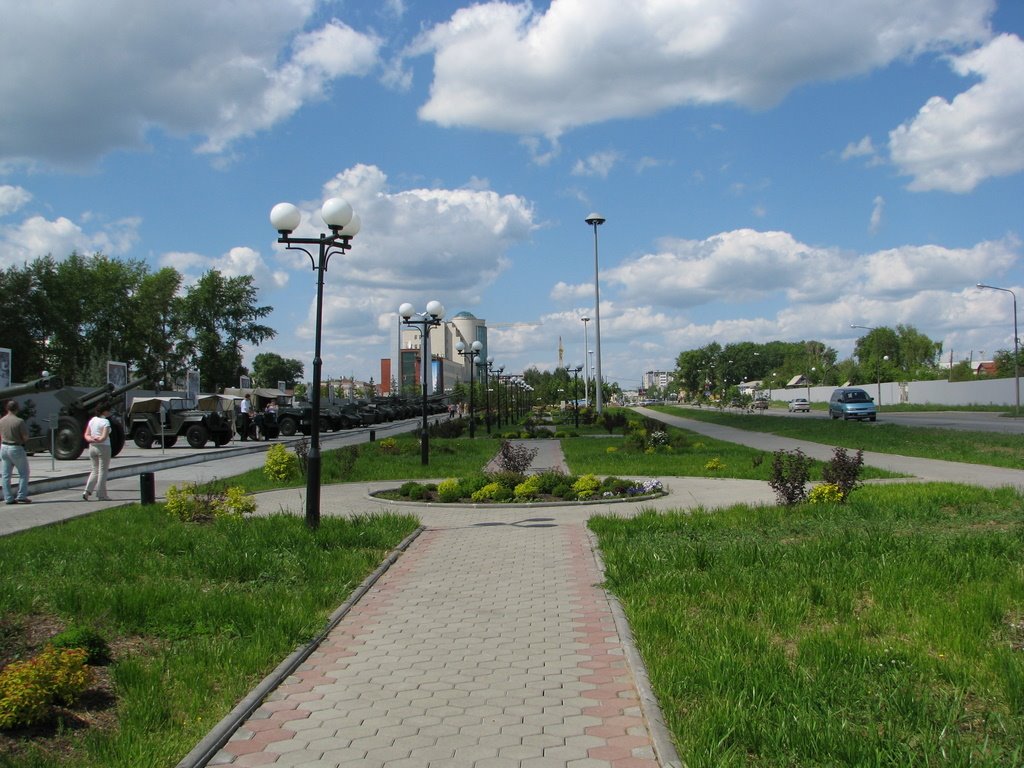 лето 2008