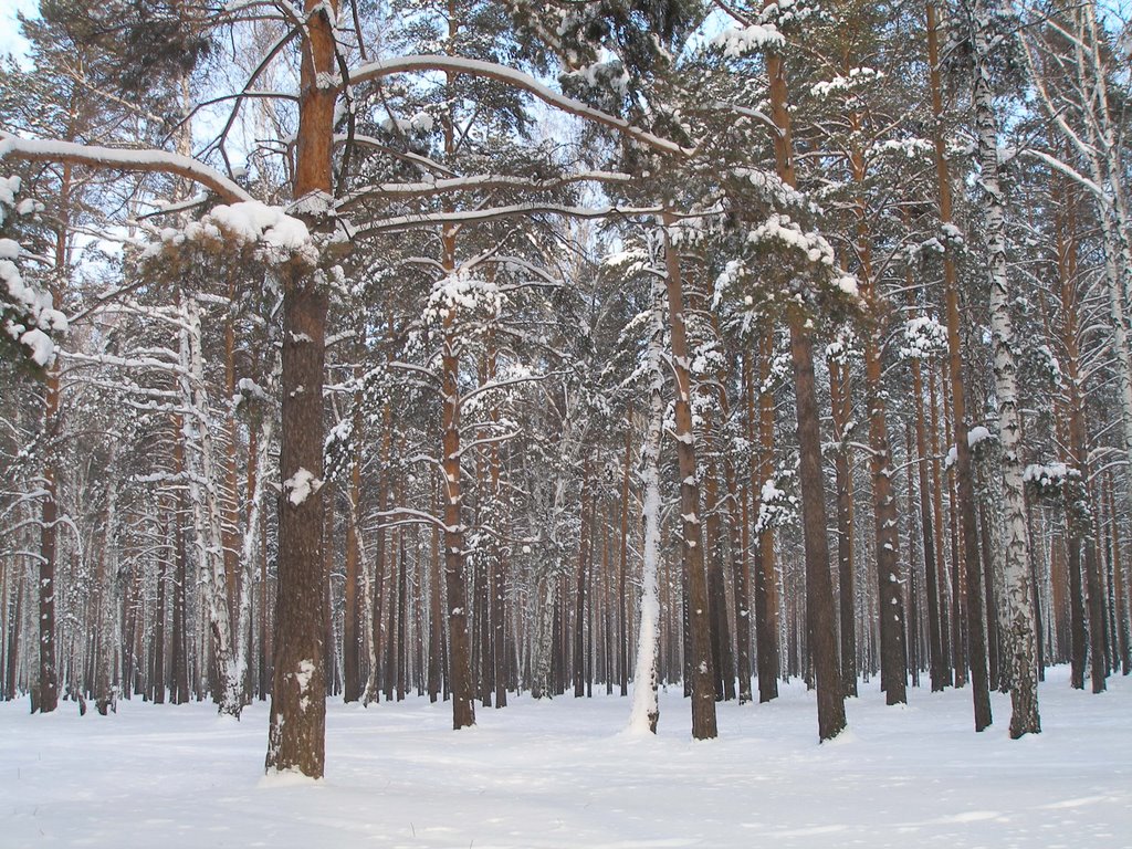Зима