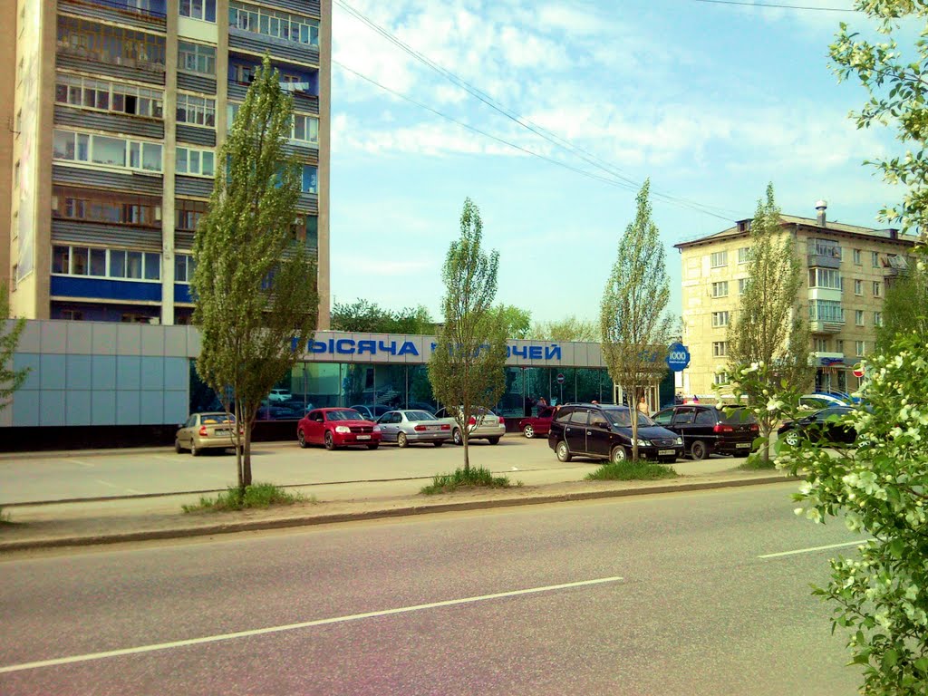 В-Пышма. 1000 мелочей.