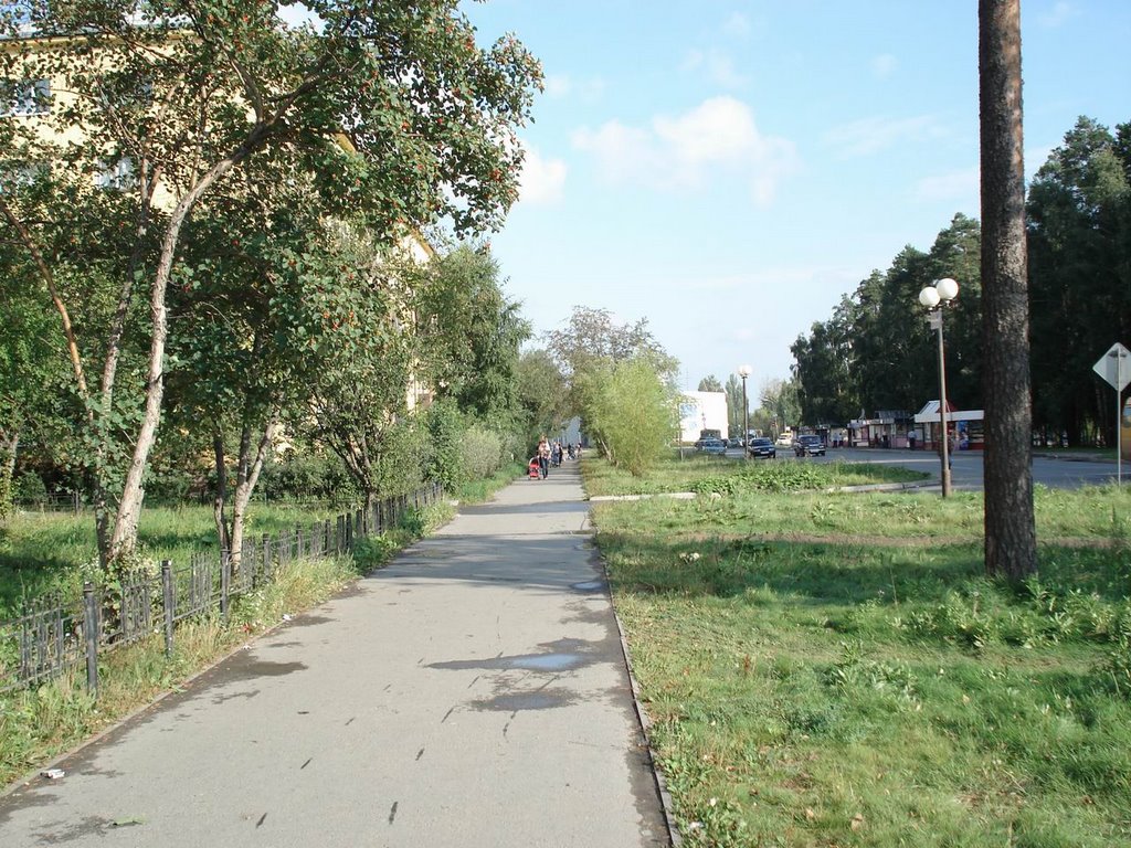 В.Пышма, ул.Кривоусова